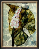 Buy Amazoni III at AllPosters.com