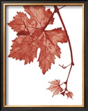 Buy Red Bud at AllPosters.com