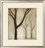 Buy Forest I at AllPosters.com