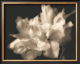 Buy Double Dappled I at AllPosters.com