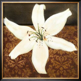 White Lily