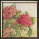 Hortensia II