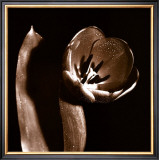 Open Tulip