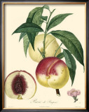 Buy Peaches at AllPosters.com