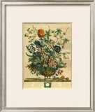 Buy February at AllPosters.com