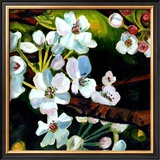 Buy Blossom Lullaby I at AllPosters.com