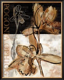 Buy Blooming Orchid II at AllPosters.com
