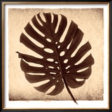 Buy Monstera II at AllPosters.com