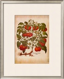 L'Herbier I