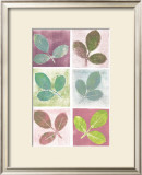 Buy Leaf Impressions at AllPosters.com