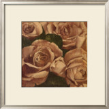 Buy Rose Cluster I at AllPosters.com