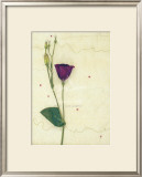 Buy Lizzieanthus at AllPosters.com