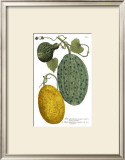 Antique Melons II