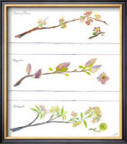 Buy Spring Branches at AllPosters.com