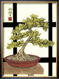 Zen Bonsai III