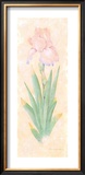 Buy Iris Soliloquy I at AllPosters.com