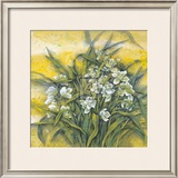 Buy White Orchids at AllPosters.com