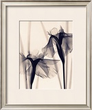 Buy Japanese Iris at AllPosters.com