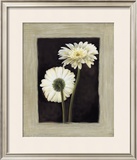Flora II