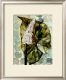 Buy Amazoni III at AllPosters.com