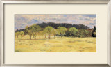 Buy Buck Run Willows at AllPosters.com