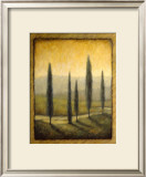 Buy Morning Path I at AllPosters.com