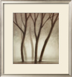 Buy Forest II at AllPosters.com