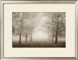 Buy Layers of Trees II at AllPosters.com
