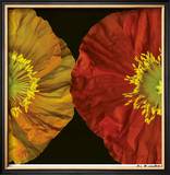 Buy Red & Yellow Poppy II at AllPosters.com