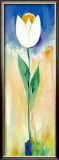 Buy Single White and Orange Tulip at AllPosters.com