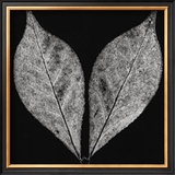 Buy Simplicity at AllPosters.com