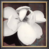 Buy Magnolia Blue II at AllPosters.com