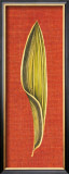 Buy Tao Spirit II at AllPosters.com