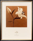 Buy Lily at AllPosters.com
