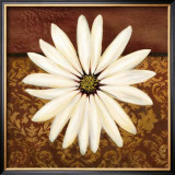 White Daisy