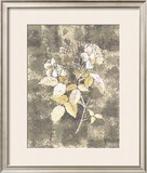 Buy Silver Rose I at AllPosters.com