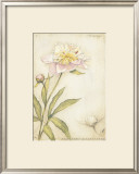 Buy Peony I at AllPosters.com