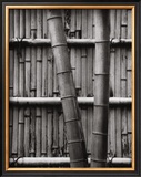 Buy Bamboo and Wall at AllPosters.com