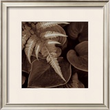 Buy Painted Ferns I at AllPosters.com
