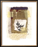 Buy Leaf Study III at AllPosters.com