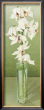 Buy Orchid at AllPosters.com
