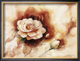 Buy Rose Shadow II at AllPosters.com