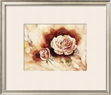 Buy Rose Shadow I at AllPosters.com