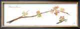 Quince Branch