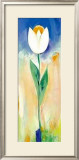 Buy Single White and Orange Tulip at AllPosters.com