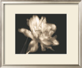 Buy Double Dappled II at AllPosters.com