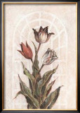 Buy Tulip Companion I at AllPosters.com