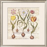 Travertine Botanicals I