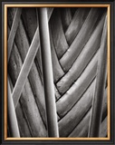 Buy Palm Pattern at AllPosters.com