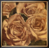 Buy Rose Cluster II at AllPosters.com